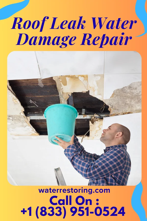 Roof Leak Water Damage Repair in Kief, ND